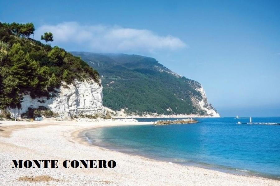 1 La Fisarmonica Del Conero Daire Castelfidardo Dış mekan fotoğraf